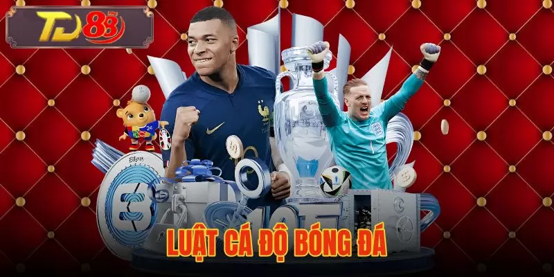 Luật Cá Độ Bóng Đá - Kèo Chấp Tài Xỉu TD88 Dễ Hiểu