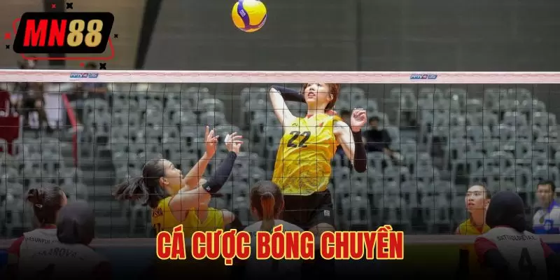 Cá Cược Bóng Chuyền
